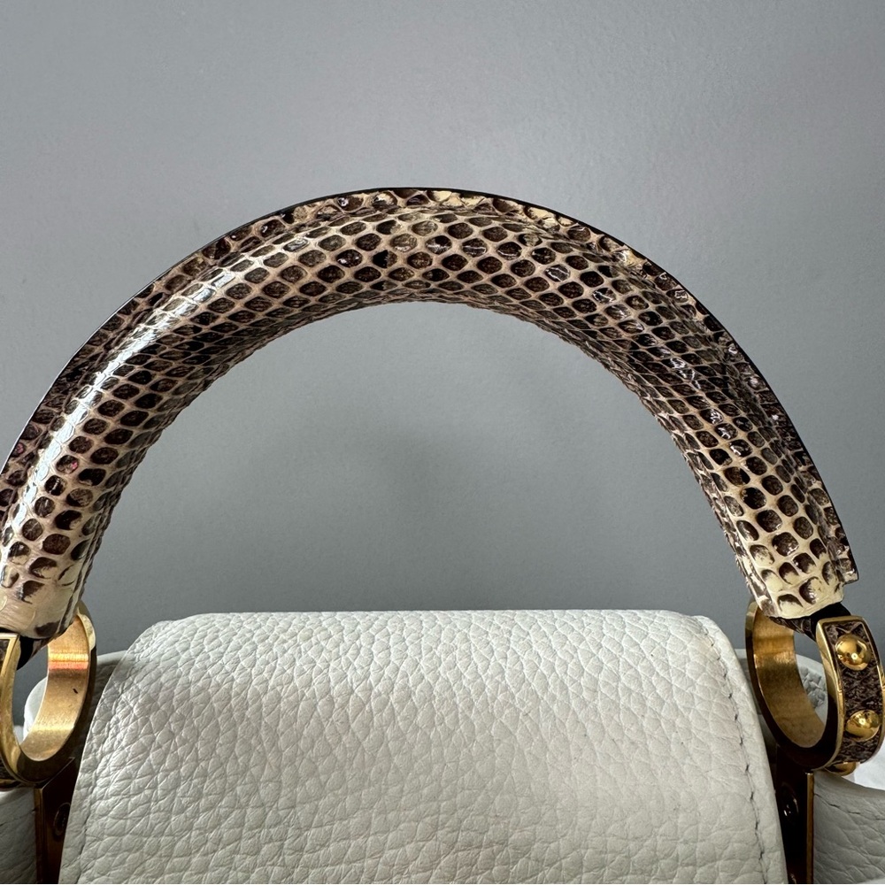 Louis Vuitton Taurillon & Python Leather Capucines Mini Handbag - Picture 3 of 16